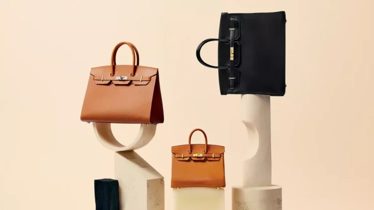 Why is the Birkin Bag Still the Ultimate Fashion Investment in 2025?