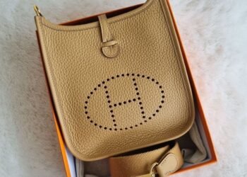 Why Is the Hermès Evelyne Bag the Best Example of Functional Elegance?