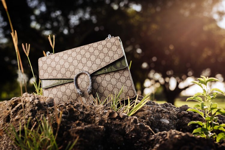 Is the Gucci Dionysus Bag the Bold Classic That Redefines Timeless Luxury?