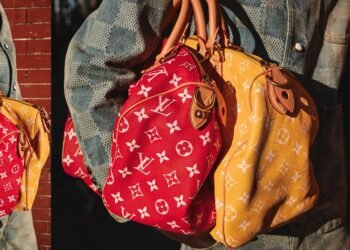 The Timeless Appeal of the Louis Vuitton Speedy Bag