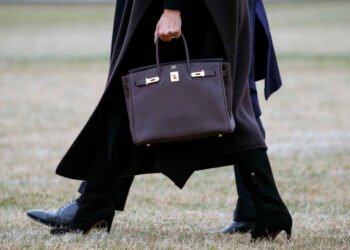Is the Birkin Bag Still the Ultimate Status Symbol in 2025?
